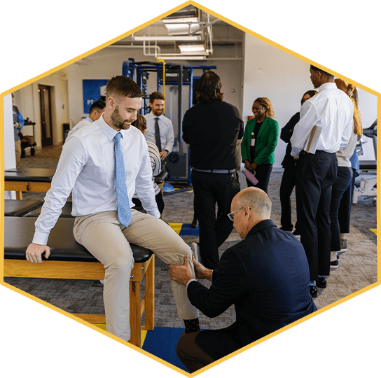 Partner with PT Solutions for Best in Class PT Expertise